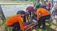 Tim SAR Evakuasi Warga