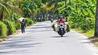 Jalan Buayan–Jladri