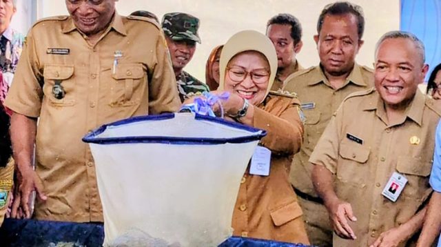 5 panen ikan nila Panen Nila RAS
