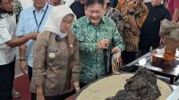 8 pameran suiseki Pameran Suiseki