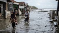 Banjir Rob