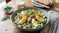 Salad Mentimun