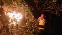 26 kebakaran hutan Kebakaran Hutan