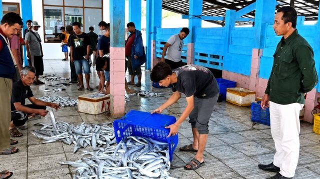 Musim Ikan Datang