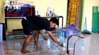 Perajin Aquarium