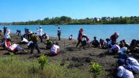 Tanam Mangrove