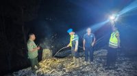 Kebakaran Hutan