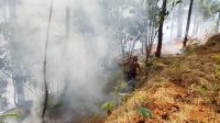 Kebakaran Lahan
