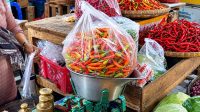Harga Cabai Kebumen