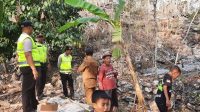 Kebakaran Lahan