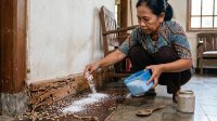 Usir Rayap Pakai Garam Dapur